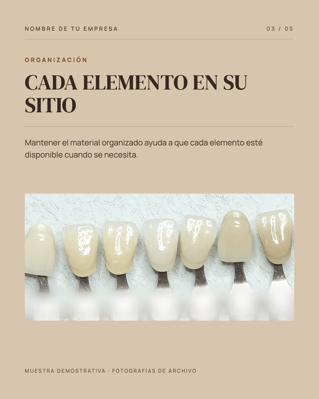 Organización: titular «Cada elemento en su sitio» sobre campo arena, con una fotografía de una guía de color dental.